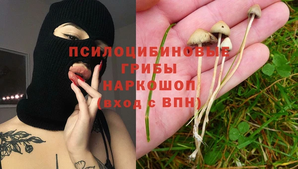 прущий лед Магас