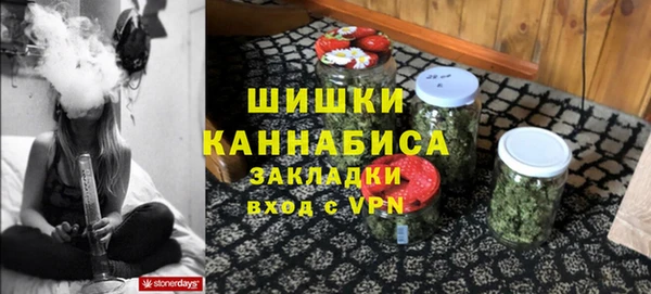 гидра Горно-Алтайск