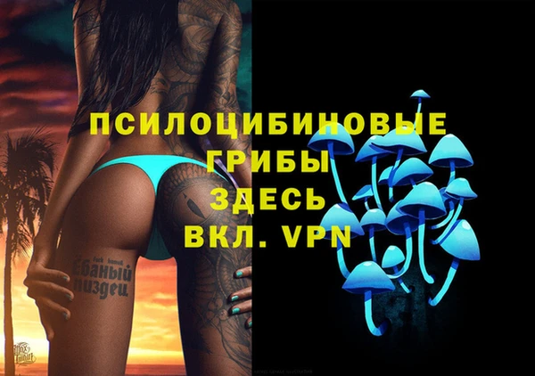 прущие грибы Горнозаводск