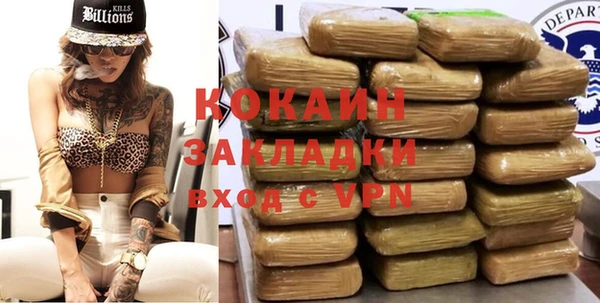 прущие грибы Горнозаводск