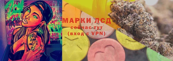прущие грибы Горнозаводск