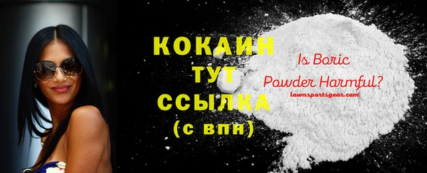 прущие грибы Горнозаводск