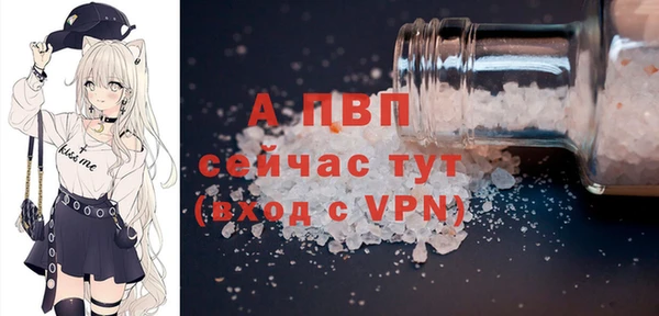 прущие грибы Горнозаводск