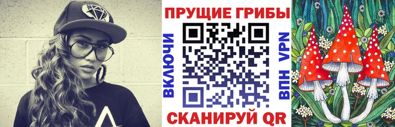 купить наркотик  Петухово  нарко площадка Telegram  Псилоцибиновые грибы Psilocybine cubensis 